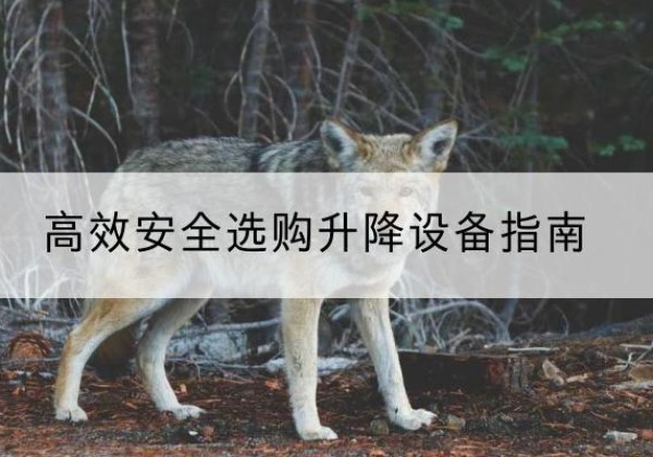 梨树升降货梯厂家推荐-*安全选购升降设备指南